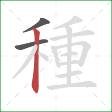 種的笔顺第3画:竖 種的笔顺第3画:竖