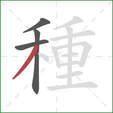 種的笔顺第4画:撇 種的笔顺第4画:撇