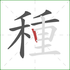 種的笔顺第8画:竖 種的笔顺第8画:竖