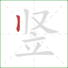 竖的笔顺第1画：竖