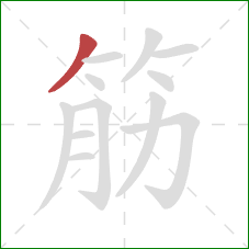 筋的笔顺第1画:撇 筋的笔顺第1画:撇