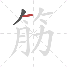 筋的笔顺第2画:横 筋的笔顺第2画:横