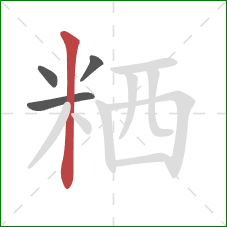 粞的笔顺第4画：竖