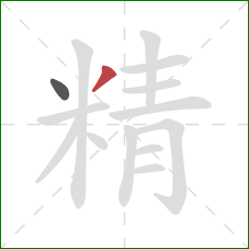 精的笔顺第2画：撇