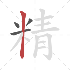 精的笔顺第4画：竖
