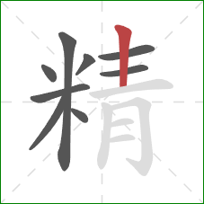 精的笔顺第9画：竖