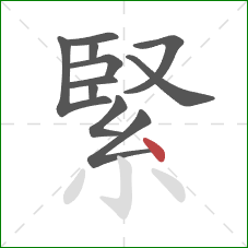 緊的笔顺第11画：点