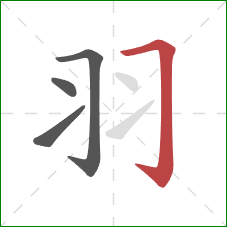 羽的笔顺第4画:横折钩 羽的笔顺第4画:横折钩