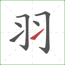 羽的笔顺第6画:提 羽的笔顺第6画:提