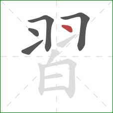 習的笔顺第5画:点 習的笔顺第5画:点