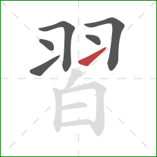 習的笔顺第6画:提 習的笔顺第6画:提