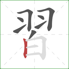 習的笔顺第8画:竖 習的笔顺第8画:竖