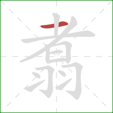 翥的笔顺第1画:横 翥的笔顺第1画:横