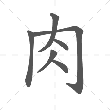 肉的部首