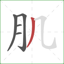 肌的笔顺第5画：撇