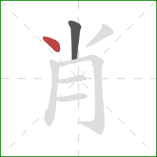 肖的笔顺第2画：点