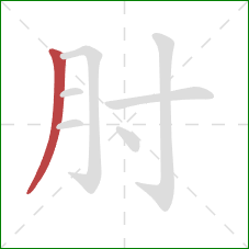 肘的笔顺第1画:撇 肘的笔顺第1画:撇