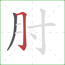 肘的笔顺第2画:横折钩 肘的笔顺第2画:横折钩