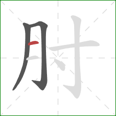 肘的笔顺第3画:横 肘的笔顺第3画:横