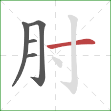 肘的笔顺第5画:横 肘的笔顺第5画:横