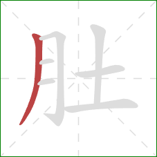 肚的笔顺第1画:撇 肚的笔顺第1画:撇