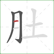 肚的笔顺第3画:横 肚的笔顺第3画:横