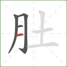 肚的笔顺第4画:横 肚的笔顺第4画:横