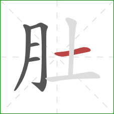 肚的笔顺第5画:横 肚的笔顺第5画:横