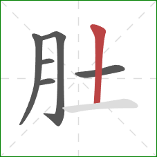 肚的笔顺第6画:竖 肚的笔顺第6画:竖