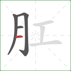 肛的笔顺第4画：横