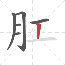 肛的笔顺第6画：竖