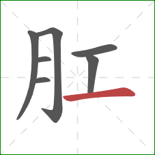 肛的笔顺第7画：横