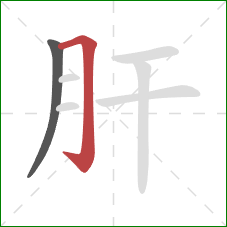 肝的笔顺第2画：横折钩