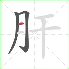 肝的笔顺第3画：横