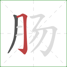 肠的笔顺第2画：横折钩