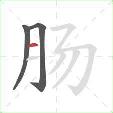 肠的笔顺第3画：横