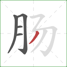 肠的笔顺第5画：横折折折钩