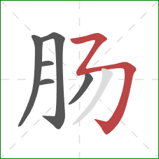 肠的笔顺第6画：撇