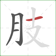 肢的笔顺第5画：横