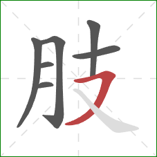 肢的笔顺第7画：横撇