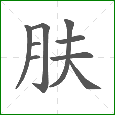 肤的部首