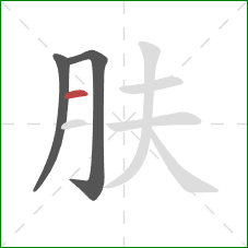 肤的笔顺第3画：横