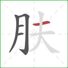 肤的笔顺第5画：横