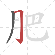 肥的笔顺第2画：横折钩