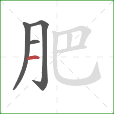 肥的笔顺第4画：横