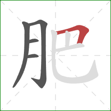 肥的笔顺第5画：横折