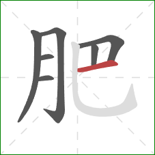 肥的笔顺第7画：横