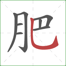 肥的笔顺第8画：竖弯钩