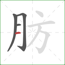 肪的笔顺第4画：横