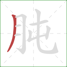 肫的笔顺第1画:撇 肫的笔顺第1画:撇